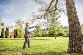 Best Seasonal Cleanup (Spring/Fall)  in Morgan Hill, PA