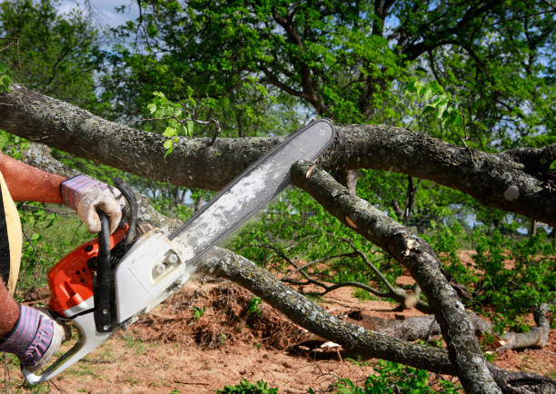 Best Soil Testing and Treatment  in Morgan Hill, PA